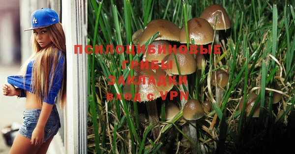 Альфа ПВП Баксан