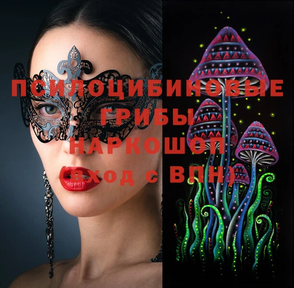PSILOCYBIN Балабаново