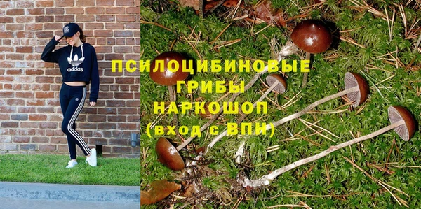 Альфа ПВП Баксан